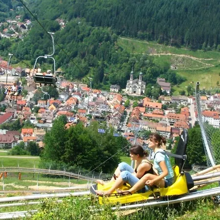 Apartament Ferienwohnung - Silberbergblick *