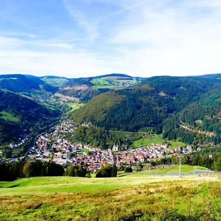 Ferienwohnung - Silberbergblick Apartament *