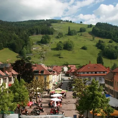 Apartament Ferienwohnung - Silberbergblick